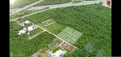 RD23228264