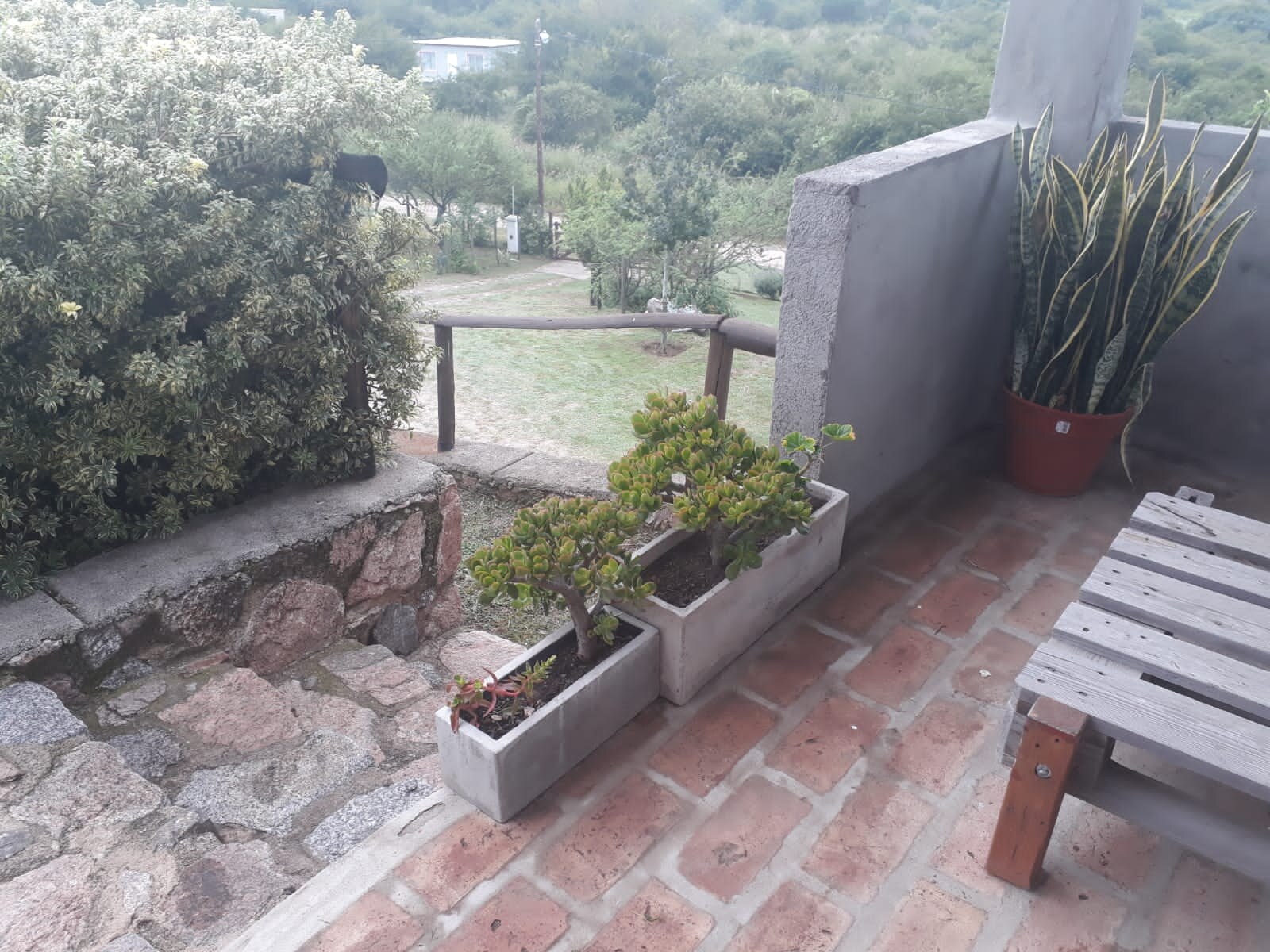 Miniatura 8