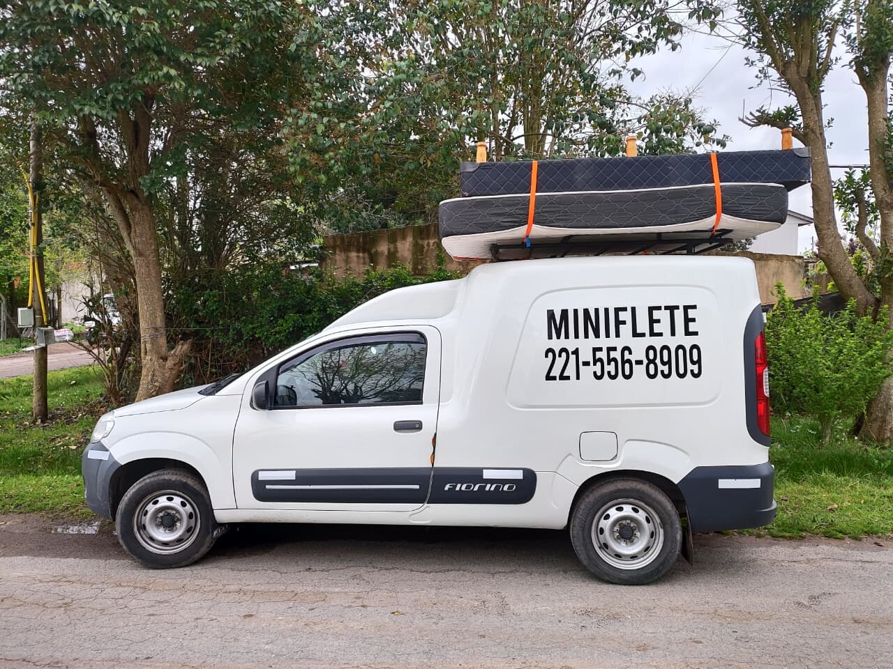 Miniatura 3